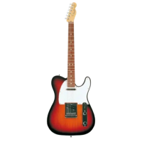 Fender Rhythm Guitar