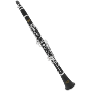 Glory GLY-PBK Professional Ebonite Bb Clarinet - Black