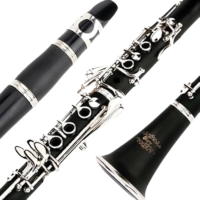 Glory GLY-PBK Professional Ebonite Bb Clarinet - Black