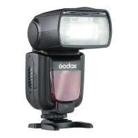 Godox TT600 Thinklight Flash Universal Speedlight