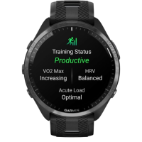 Garmin Forerunner® 965 Running Smartwatch, Colorful AMOLED Display, Training Metrics and Recovery Insights, Black and Powder Gray